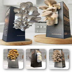 Mini Mushroom Farm