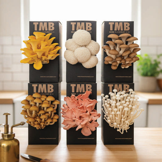 8 Pack Special [Buy 4 Get 4 Free]