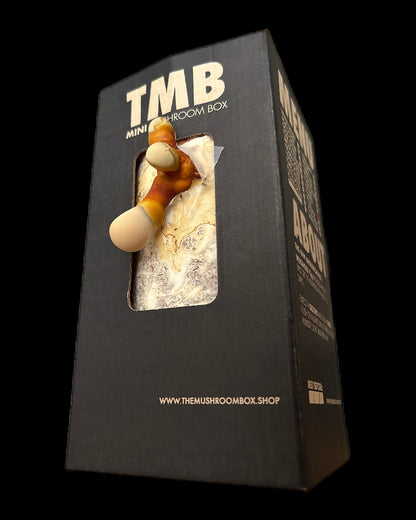 Stress Relief - Reishi Mushroom Box