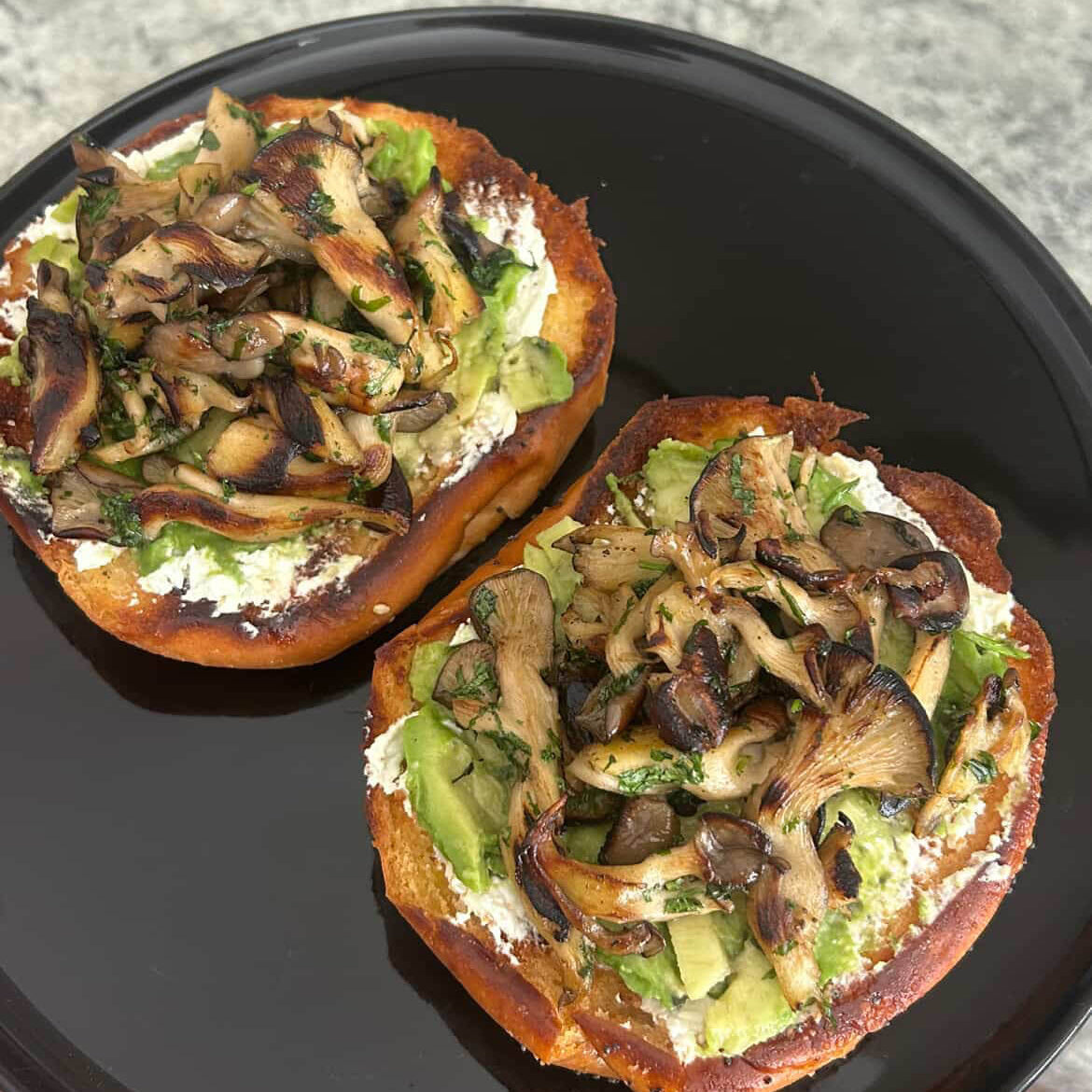Black Pearl Oyster Mushroom Box
