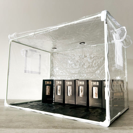 Full Setup Special - 6 Pack + Grow Tent + Humidifier