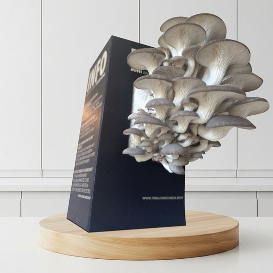 Farmers Favorite - Blue Oyster Mushroom Box