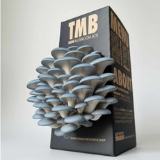 Automatic Mushroom Farm + Seasonal 6 Pack