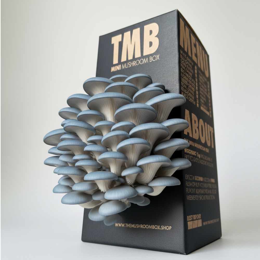 Automatic Mushroom Farm + Seasonal 6 Pack