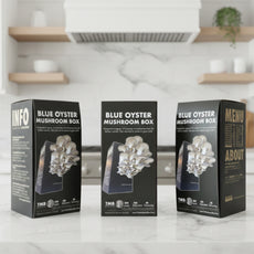 Farmers Favourite - Blue Oyster Mushroom Box