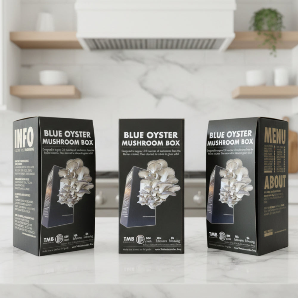 Farmers Favourite - Blue Oyster Mushroom Box