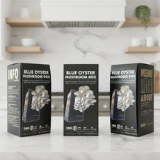 Blue Oyster Mushroom Box [Buy 4 Get 2 Free]