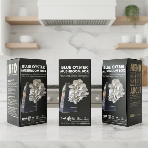Blue Oyster Mushroom Box [Buy 4 Get 2 Free]