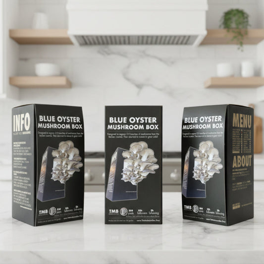 Blue Oyster Mushroom Box [Buy 4 Get 2 Free]
