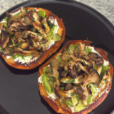 Black Pearl Oyster Mushroom Box