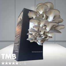 Farmers Favourite - Blue Oyster Mushroom Box
