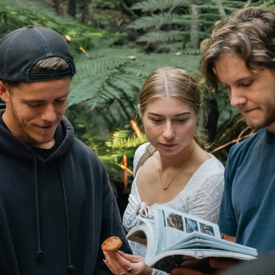 Ticket | Mushroom Movement | Foraging Workshop