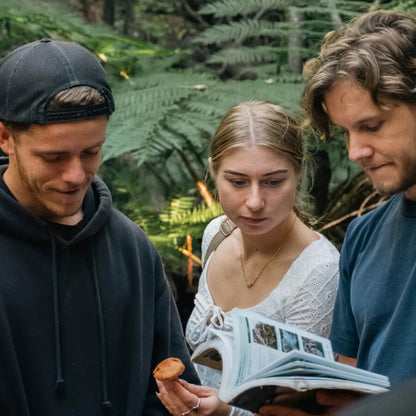 Ticket | Mushroom Movement | Foraging Workshop