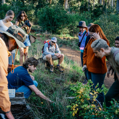 Ticket | Mushroom Movement | Foraging Workshop