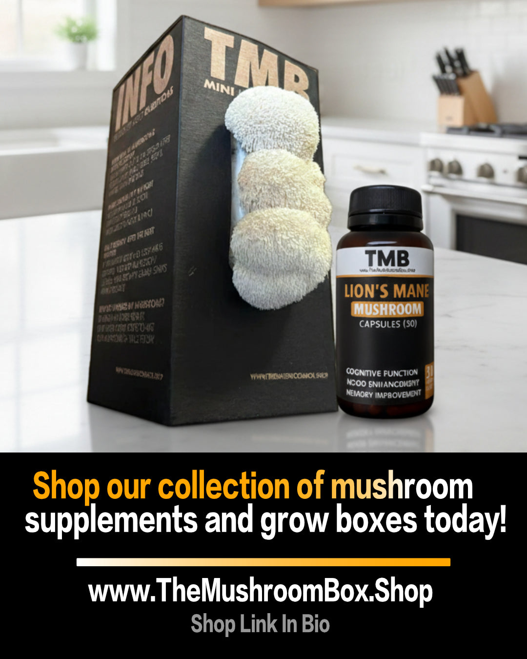 Seasonal 6 Pack | Buy 3 Get 3 Free | Random Mix