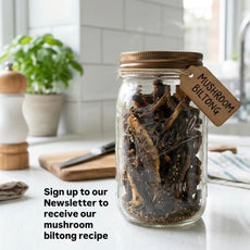 Black Pearl Oyster Mushroom Box