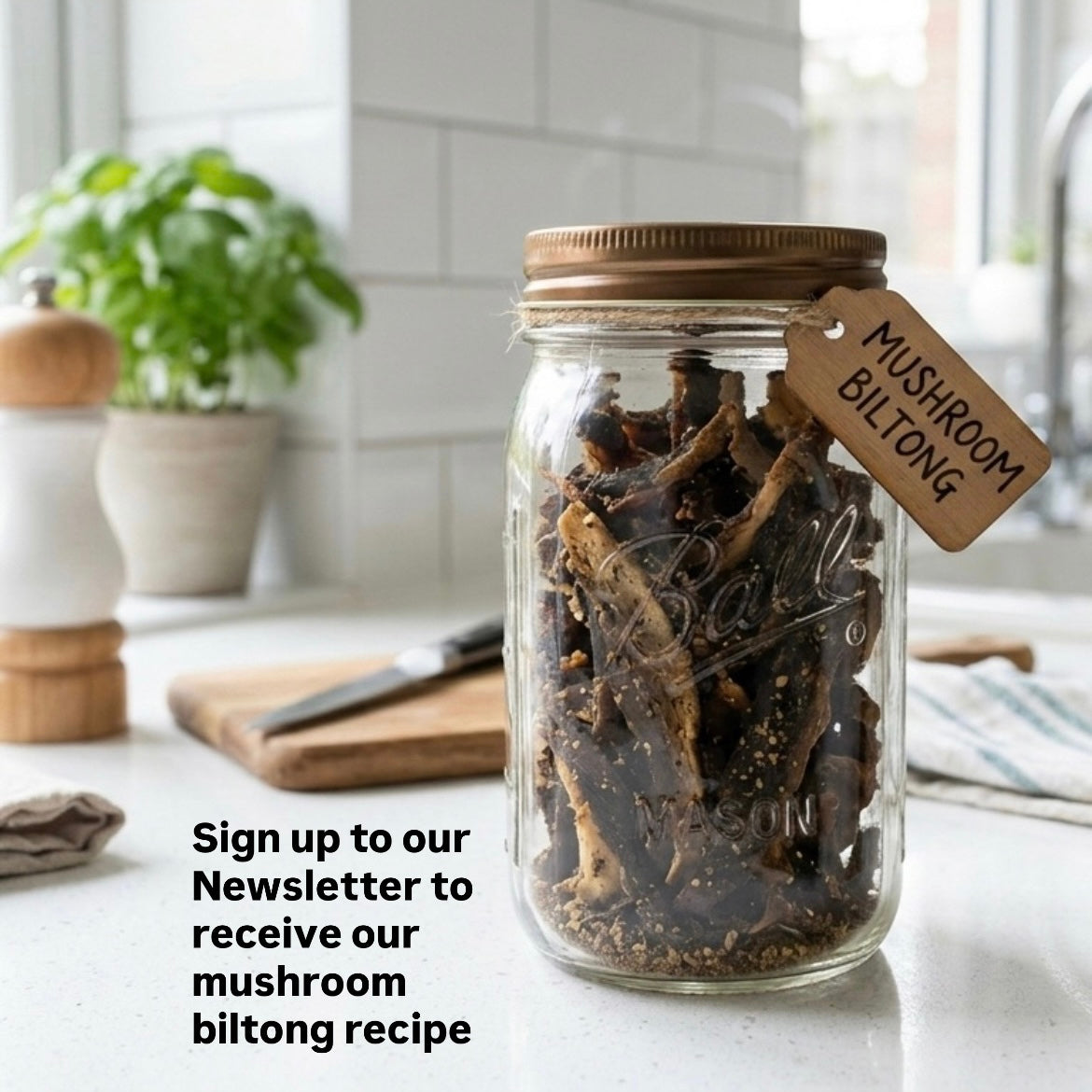 Black Pearl Oyster Mushroom Box