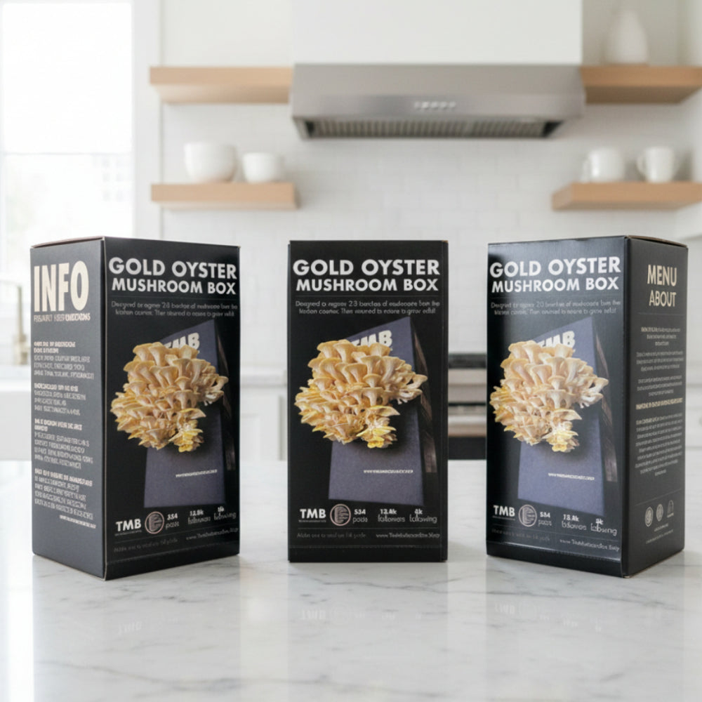 Longevity - Golden Oyster Mushroom Box