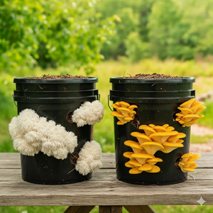 Do It Yourself - Mushroom Bucket (10L)
