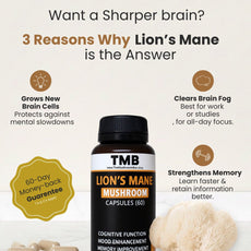 Brain Booster | Lions Mane Mushroom Capsules (60) | Enhance focus | 500mg