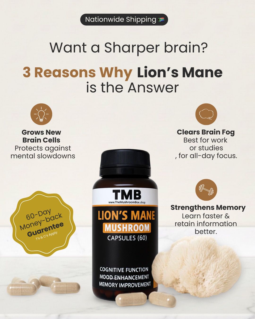 Brain Booster | Lions Mane Mushroom Capsules (60) | Enhance focus | 500mg
