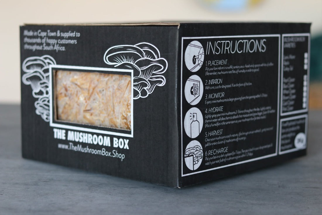 Mega Mushroom Box