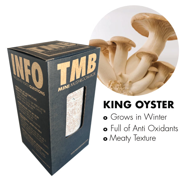 King Oyster Mushroom Box