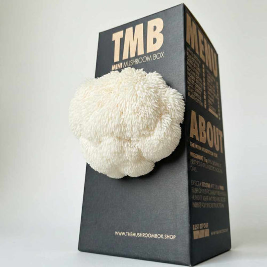 Smart Choice - Lion's Mane Mushroom Box
