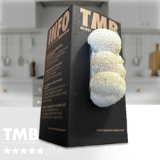 Brain Booster - Lions Mane Mushroom Box [Pre order]