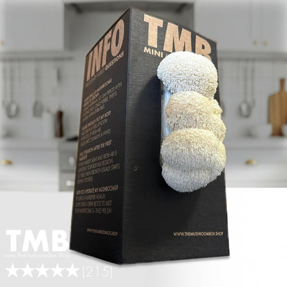 Brain Booster - Lions Mane Mushroom Box [Pre order]