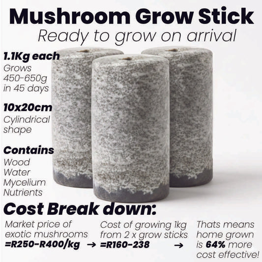 Black Oyster Mushroom Grow Stick