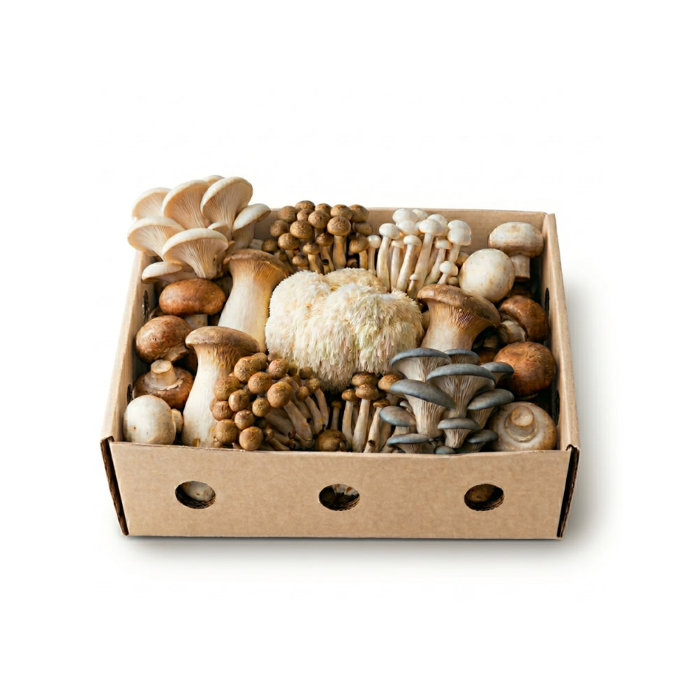 Fresh Farmers Mix Of Mushrooms 300g / 1kg / 2kg
