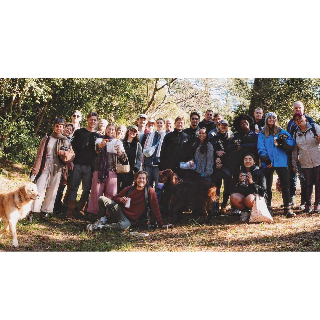 Ticket | Mushroom Movement | Foraging Workshop - 30th May