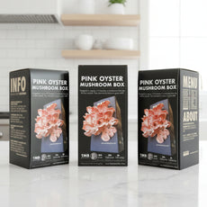 Protein Packed - Pink Oyster Mushroom Box
