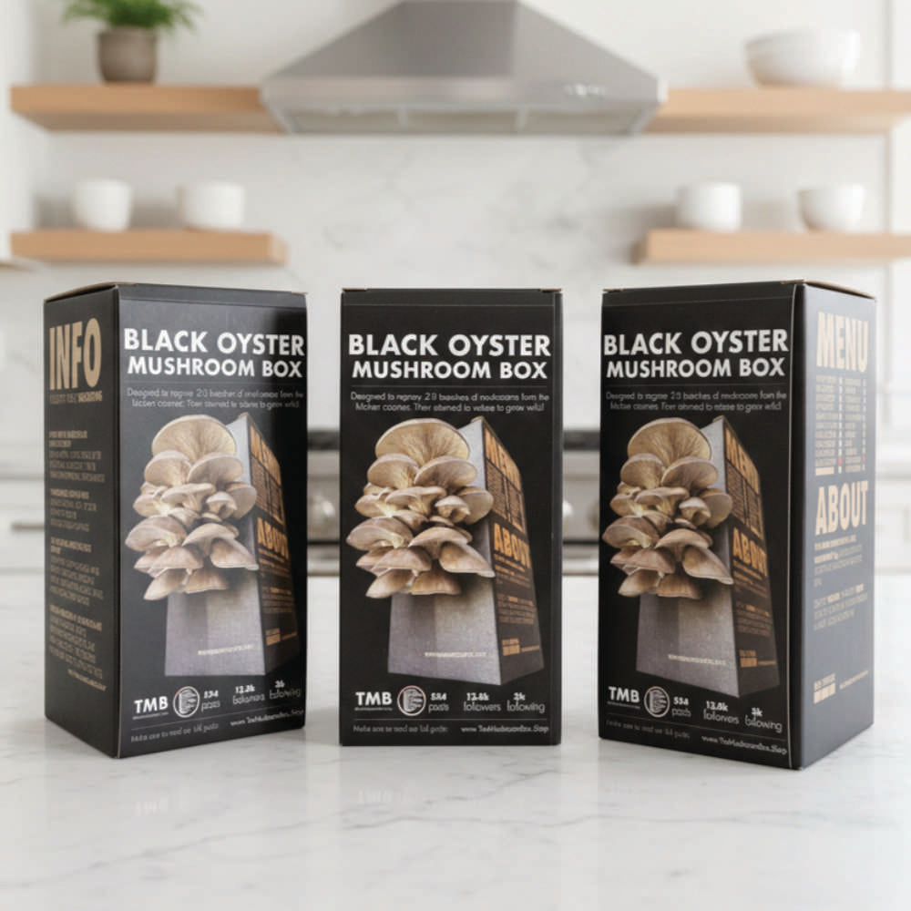 Black Pearl Oyster Mushroom Box