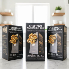 Gourmet - Chestnut Mushroom Box
