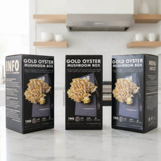 Longevity - Golden Oyster Mushroom Box