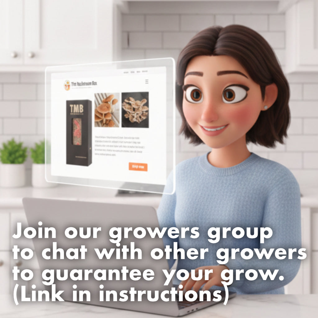 Black Pearl Oyster Mushroom Box