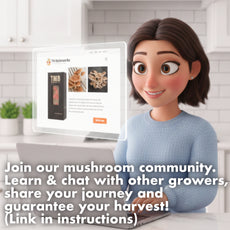 Gourmet - Chestnut Mushroom Box