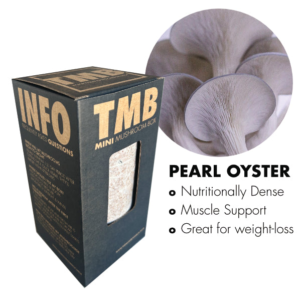 Pearl Oyster Mushroom Box