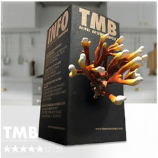 Reishi Mushroom Capsules (60) | Stress Management | Immune Support | 500mg