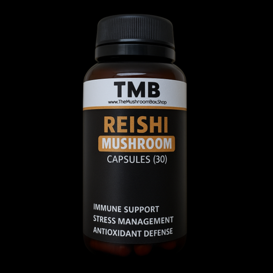 Reishi Mushroom Capsules (30) | Stress Management | Immune Support | 500mg