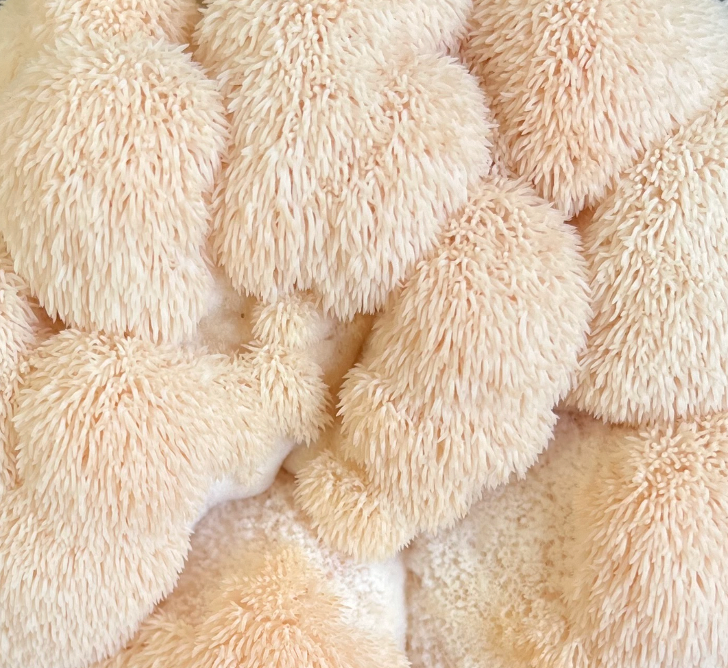 [Pre Order] Lions Mane Mushroom Capsules (60) | Brain Booster | Enhance focus | 500mg