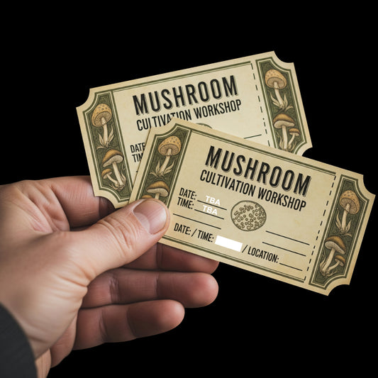 Mushroom Cultivation Workshop - Port Elizabeth - 28th November 2025