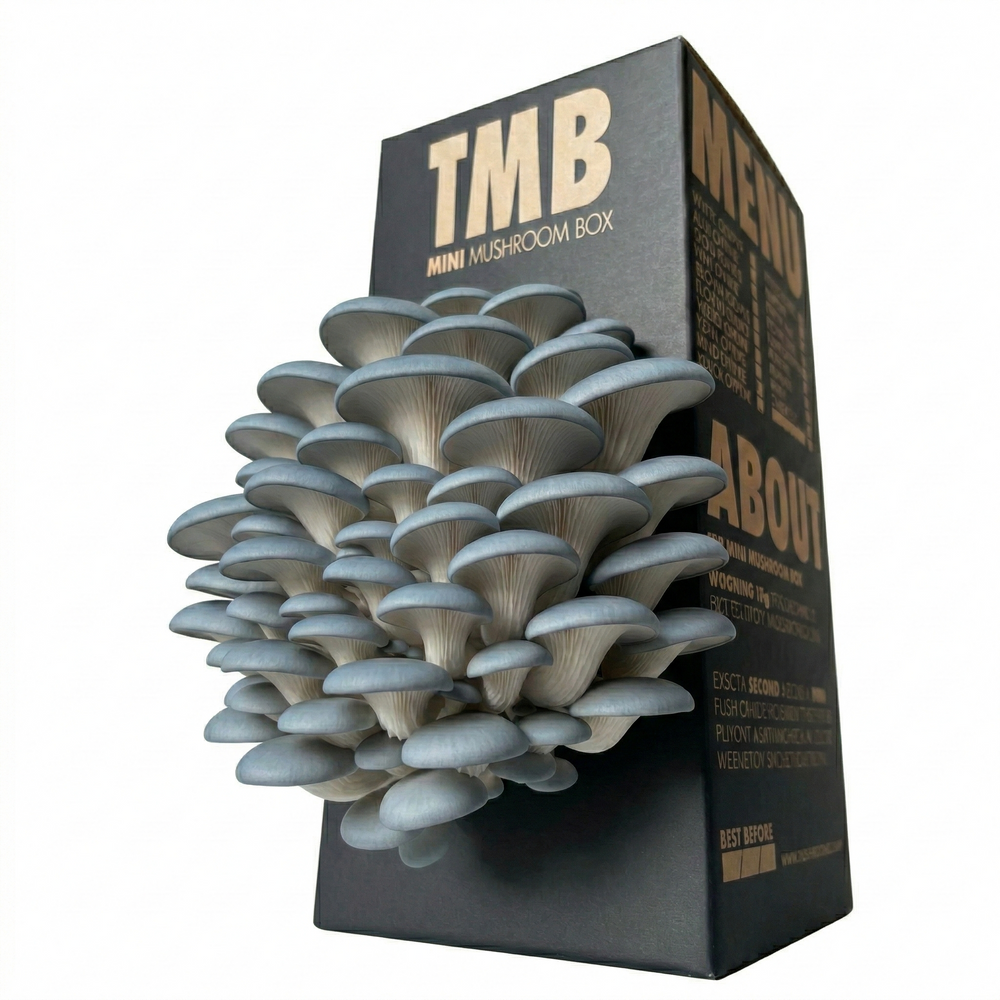 Grey Oyster Mushroom Log