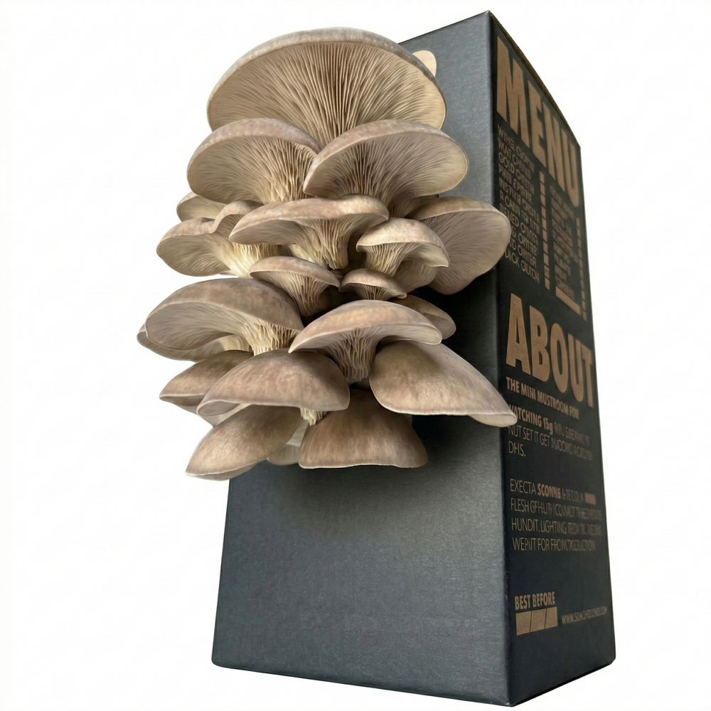 Black Pearl Mushroom Log