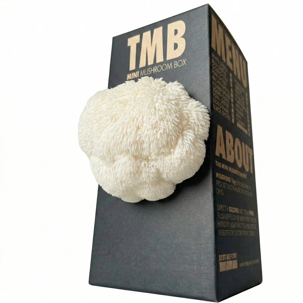 Lion's Mane Mushroom Log