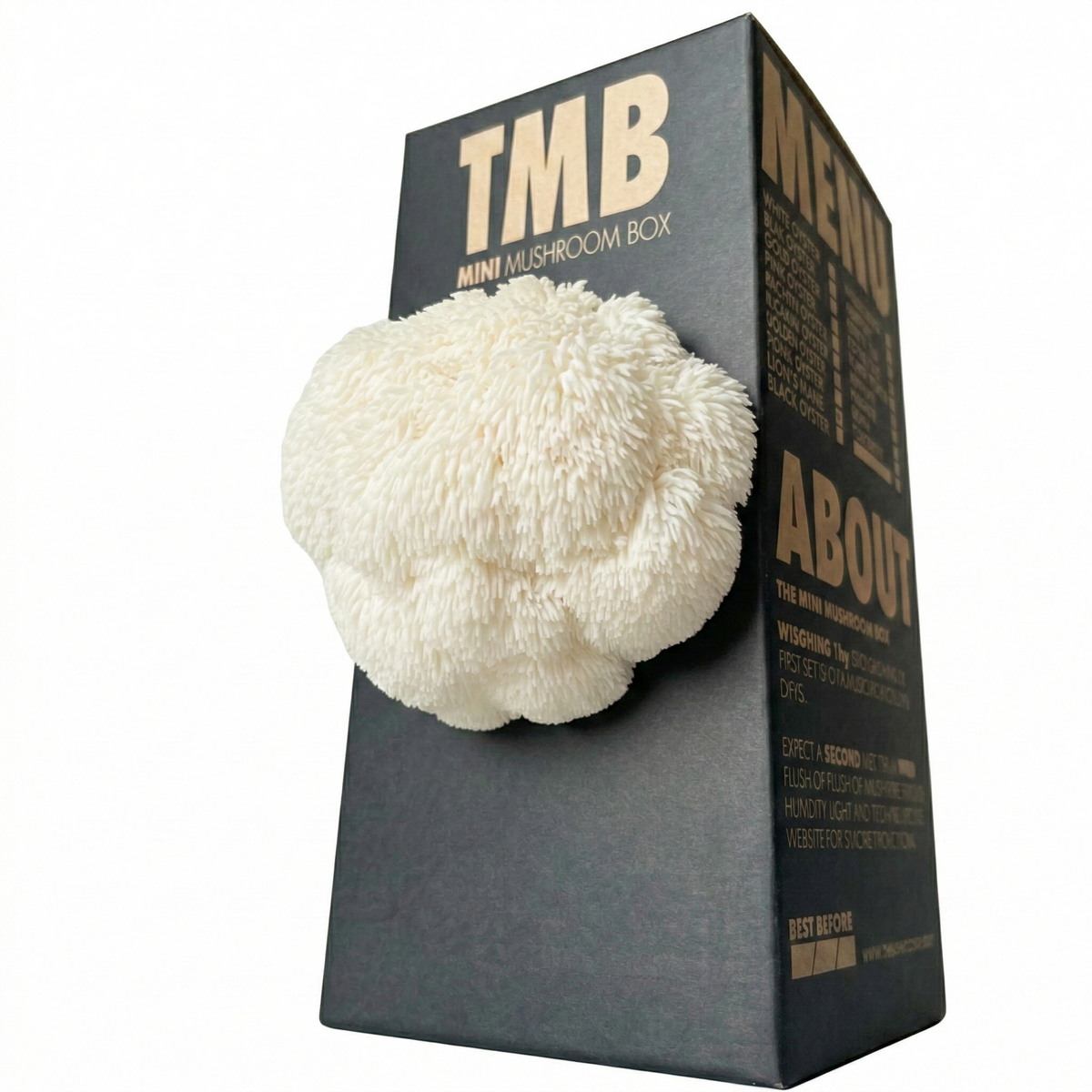 Lion's Mane Mushroom Log