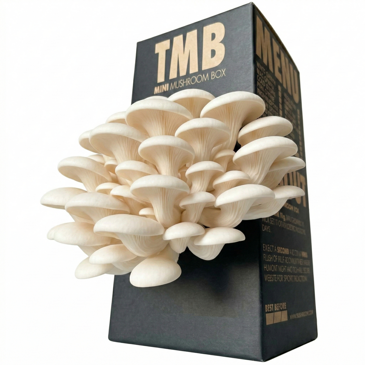 White Oyster Mushroom Log
