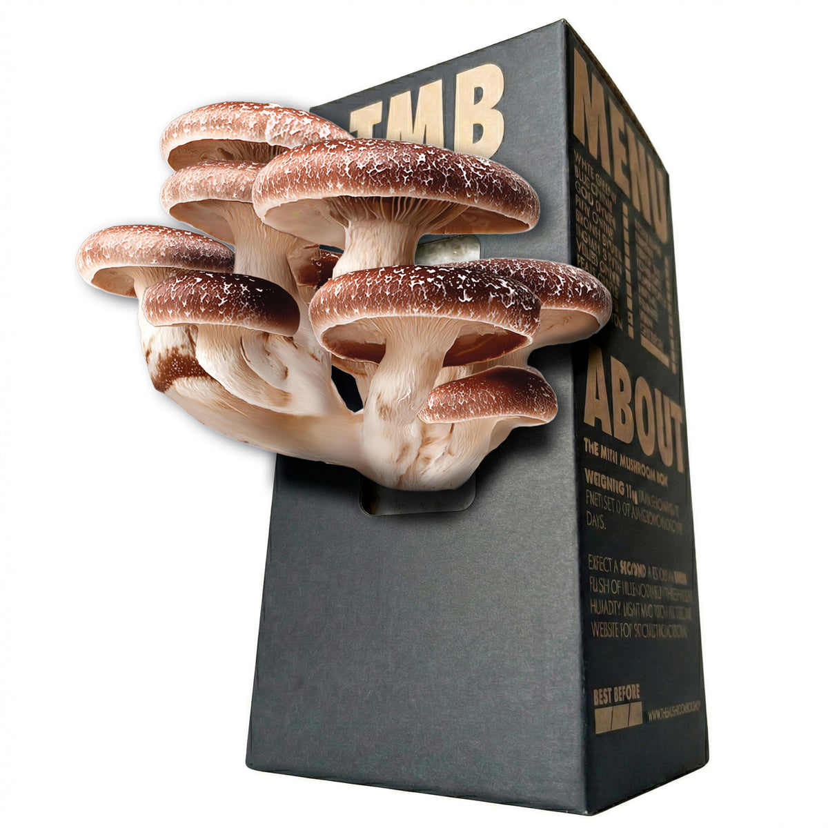 Shiitake Mushroom Log
